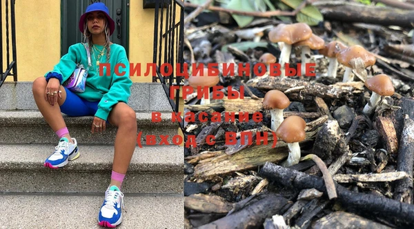 ГАЛЛЮЦИНОГЕННЫЕ ГРИБЫ Алзамай
