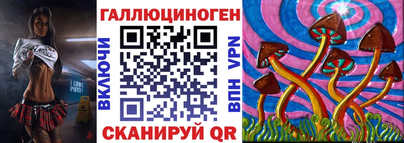 купить   Лаишево  Псилоцибиновые грибы мицелий 